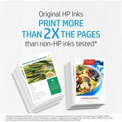 HP 920 Black Original Ink Cartridge, CD971AN